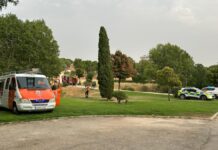Los bomberos extinguen un conato de incendio en el Parque Prado Ovejero de Móstoles