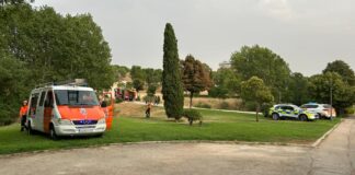 Los bomberos extinguen un conato de incendio en el Parque Prado Ovejero de Móstoles