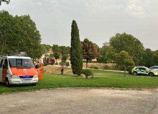 Los bomberos extinguen un conato de incendio en el Parque Prado Ovejero de Móstoles