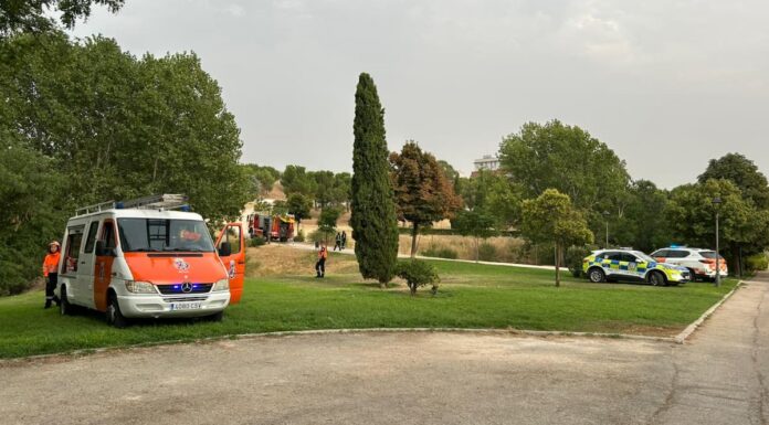 Los bomberos extinguen un conato de incendio en el Parque Prado Ovejero de Móstoles