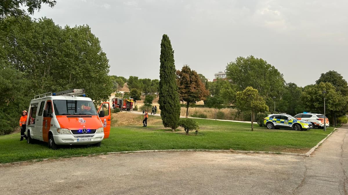 Los bomberos extinguen un conato de incendio en el Parque Prado Ovejero de Móstoles
