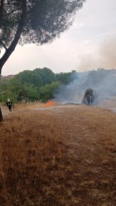 Los bomberos extinguen un conato de incendio en el Parque Prado Ovejero de Móstoles