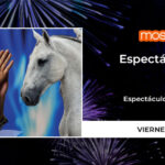 Espectáculo ecuestre Sinergia con José Mora