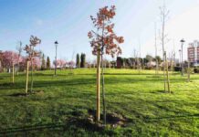 Qué hacer este fin de semana en Móstoles gratis: un tributo a Estopa y Los Rodríguez y mucho más