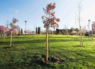 Qué hacer este fin de semana en Móstoles gratis: un tributo a Estopa y Los Rodríguez y mucho más