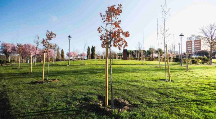 Qué hacer este fin de semana en Móstoles gratis: un tributo a Estopa y Los Rodríguez y mucho más