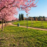 Qué hacer este fin de semana en Móstoles gratis: un tributo a Estopa y Los Rodríguez y mucho más