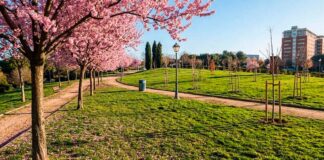 Qué hacer este fin de semana en Móstoles gratis: un tributo a Estopa y Los Rodríguez y mucho más