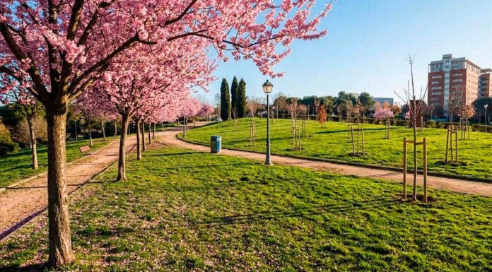Qué hacer este fin de semana en Móstoles gratis: un tributo a Estopa y Los Rodríguez y mucho más