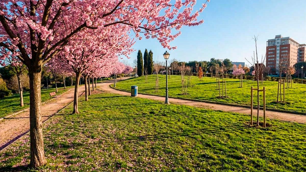 Qué hacer este fin de semana en Móstoles gratis: un tributo a Estopa y Los Rodríguez y mucho más