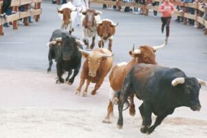 Así serán las Fiestas Patronales de Móstoles 2025: la programación completa