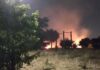 Incendio en el Parque Nelson Mandela de Móstoles