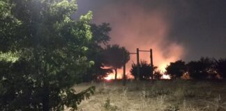 Incendio en el Parque Nelson Mandela de Móstoles