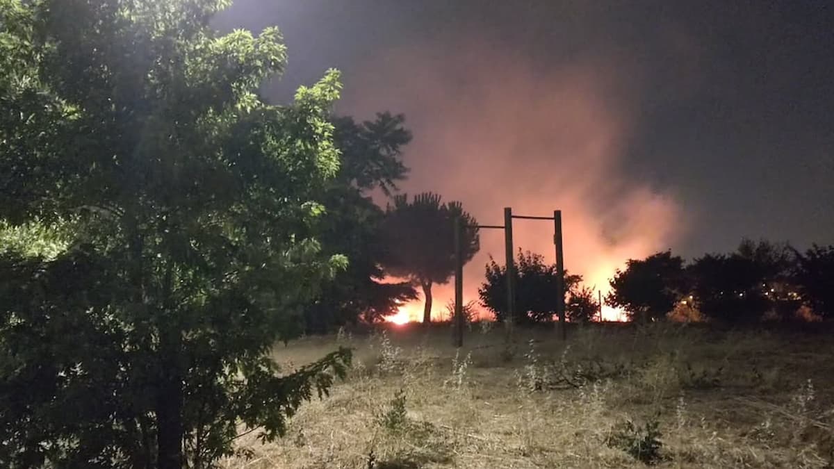 Incendio en el Parque Nelson Mandela de Móstoles