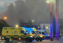 Un incendio en Tres Cantos deja nubes de humo y ceniza en Móstoles