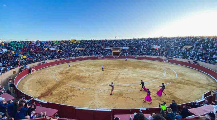 Los eventos taurinos fieles a su cita con las Fiestas Patronales de Móstoles en septiembre