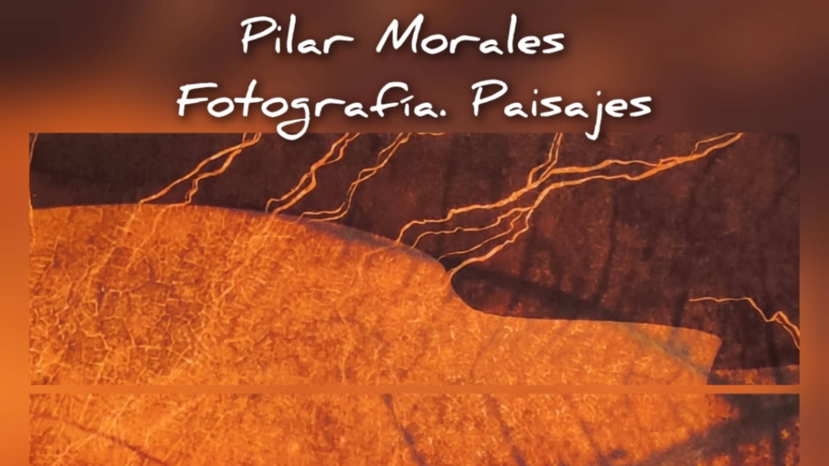 La exposición de Pilar Morales llega al Centro Sociocultural Joan Miró de Móstoles