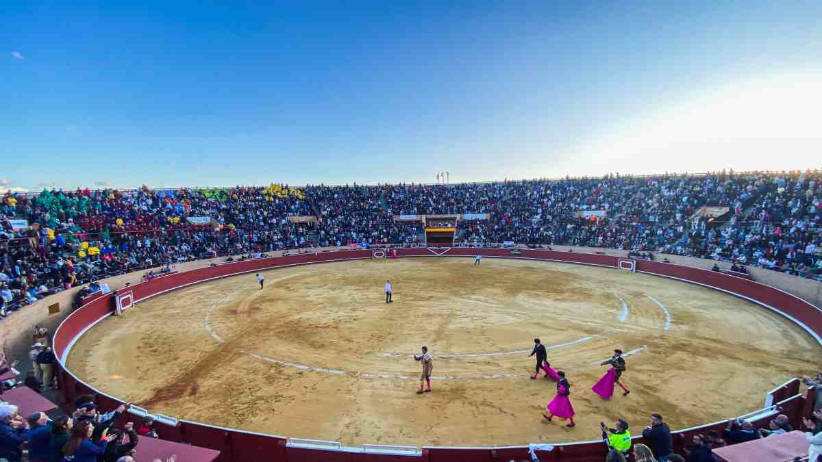 Penúltimo día de las Fiestas de Móstoles con encierros, música y espectáculos familiares