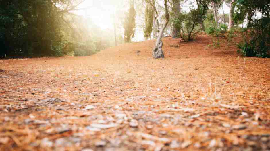 Móstoles estrena el otoño con una notable caída de las temperaturas 