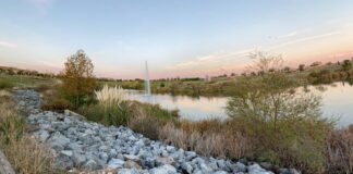 Qué hacer gratis este fin de semana en Móstoles: fiesta por la elección de Ciudad Europea del Deporte