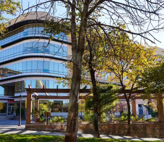 Comienzan las programaciones para adultos en la Biblioteca Central Almudena Grandes de Móstoles