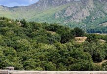 Las salidas y las rutas turísticas no se acaban para los jóvenes y las familias de Móstoles durante el otoño