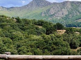 Las salidas y las rutas turísticas no se acaban para los jóvenes y las familias de Móstoles durante el otoño
