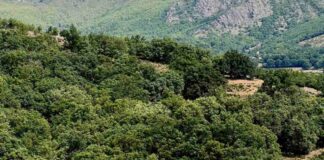 Las salidas y las rutas turísticas no se acaban para los jóvenes y las familias de Móstoles durante el otoño