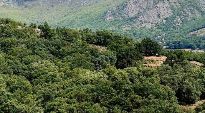 Las salidas y las rutas turísticas no se acaban para los jóvenes y las familias de Móstoles durante el otoño