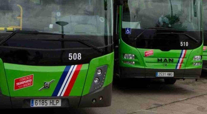 Más de 15 nuevas marquesinas de autobús en Móstoles Más de 15 nuevas marquesinas de autobús en Móstoles