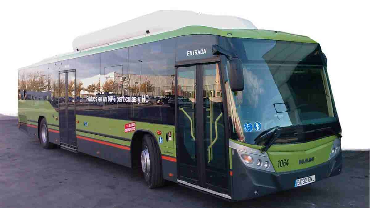 En las Fiestas de Móstoles por la noche nos volvemos en bus