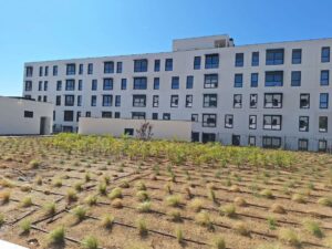 Finalizan las 300 viviendas asequibles del Plan Vive en Móstoles