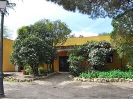 Móstoles prepara octubre con un completo programa de actividades ambientales