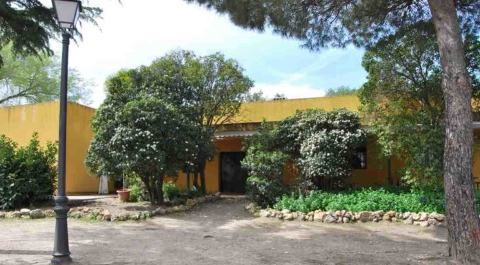 Móstoles prepara octubre con un completo programa de actividades ambientales Móstoles prepara octubre con un completo programa de actividades ambientales