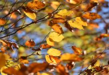 Móstoles se prepara para unos días con tiempo estable y algunas lluvias en fin de semana