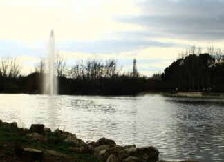 Qué hacer gratis este fin de semana en Móstoles: conciertos por la Hispanidad, Feria del Libro y más Qué hacer gratis este fin de semana en Móstoles: conciertos por la Hispanidad y Feria del Libro y más