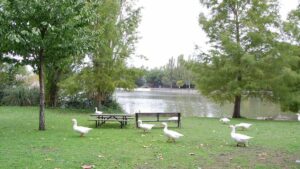 Móstoles se prepara para unos días con tiempo estable y algunas lluvias en fin de semana