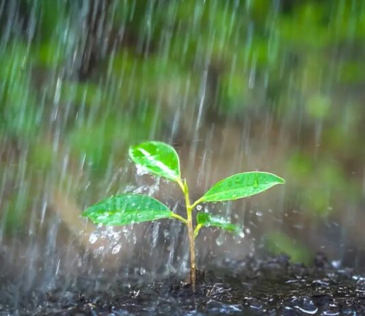 ¿Quién anda ahí? Móstoles: Petricor ¿Quién anda ahí? Móstoles: Petricor