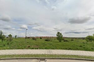 Móstoles tendrá plantaciones para revegetar los tramos más degradados de sus vías pecuarias