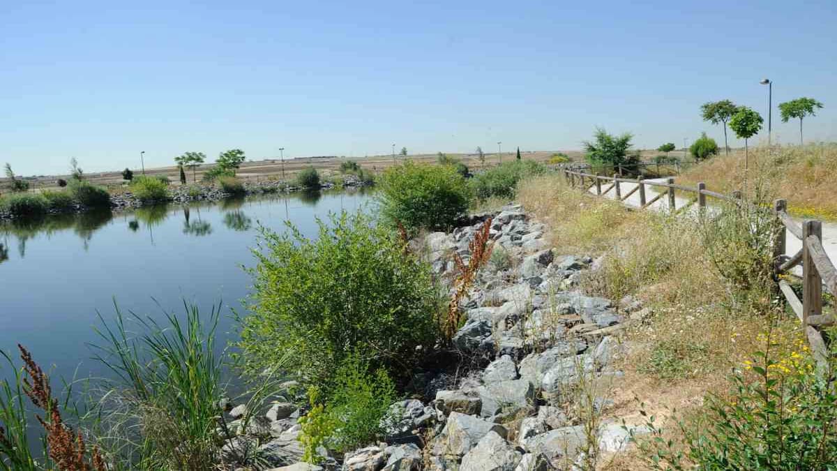 Qué hacer en Móstoles este fin de semana: la media maratón nocturna, el II Festival Flamenco y mucho más Qué hacer en Móstoles este fin de semana: la media maratón nocturna, el II Festival Flamenco y mucho más
