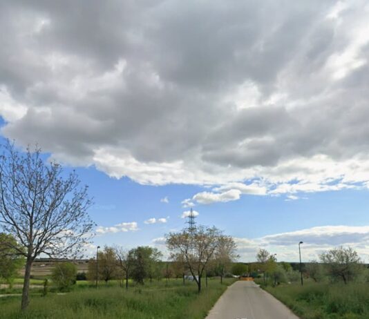 Móstoles tendrá plantaciones para revegetar los tramos más degradados de sus vías pecuarias Móstoles tendrá plantaciones para revegetar los tramos más degradados de sus vías pecuarias