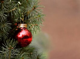 Navidad y educación ambiental: una oportunidad para enseñar sostenibilidad a los más pequeños