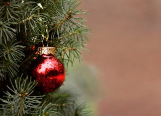Navidad y educación ambiental: una oportunidad para enseñar sostenibilidad a los más pequeños