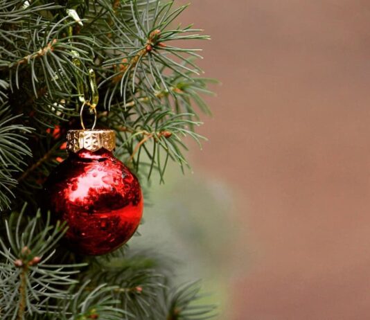Navidad y educación ambiental: una oportunidad para enseñar sostenibilidad a los más pequeños Navidad y educación ambiental: una oportunidad para enseñar sostenibilidad a los más pequeños