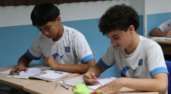 El alemán se consolida como un idioma estratégico en la educación