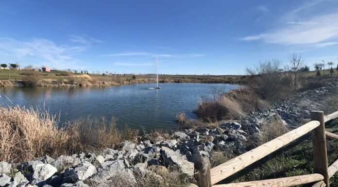 Qué hacer gratis en Móstoles este fin de semana: Concierto de Navidad, Masterchef y mucho más Qué hacer gratis en Móstoles este fin de semana: Concierto de Navidad, Masterchef y mucho más