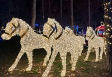 La Tardebuena Dance protagoniza la agenda del miércoles 24 de diciembre en Móstoles