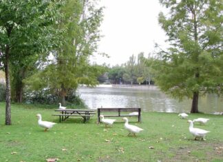 Qué hacer gratis en Móstoles este puente de la constitución: programa navideño y mucho más