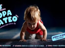 La carrera más tierna del año llega a unos minutos de Móstoles: la Copa Gateo aterriza en X-Madrid La carrera más tierna del año llega a unos minutos de Móstoles: la Copa Gateo aterriza en X-Madrid