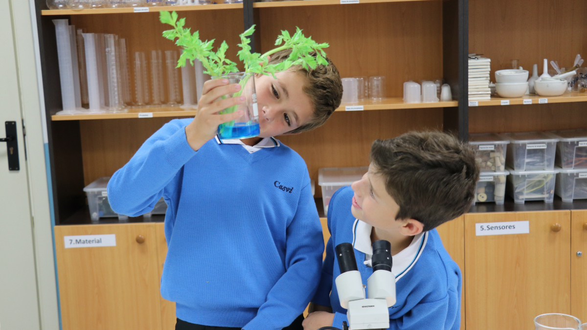 Casvi Villaviciosa, entre los centros educativos más destacados de España en el ranking MiCole